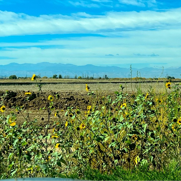 Meet your Posher, - Picture 9 of 11